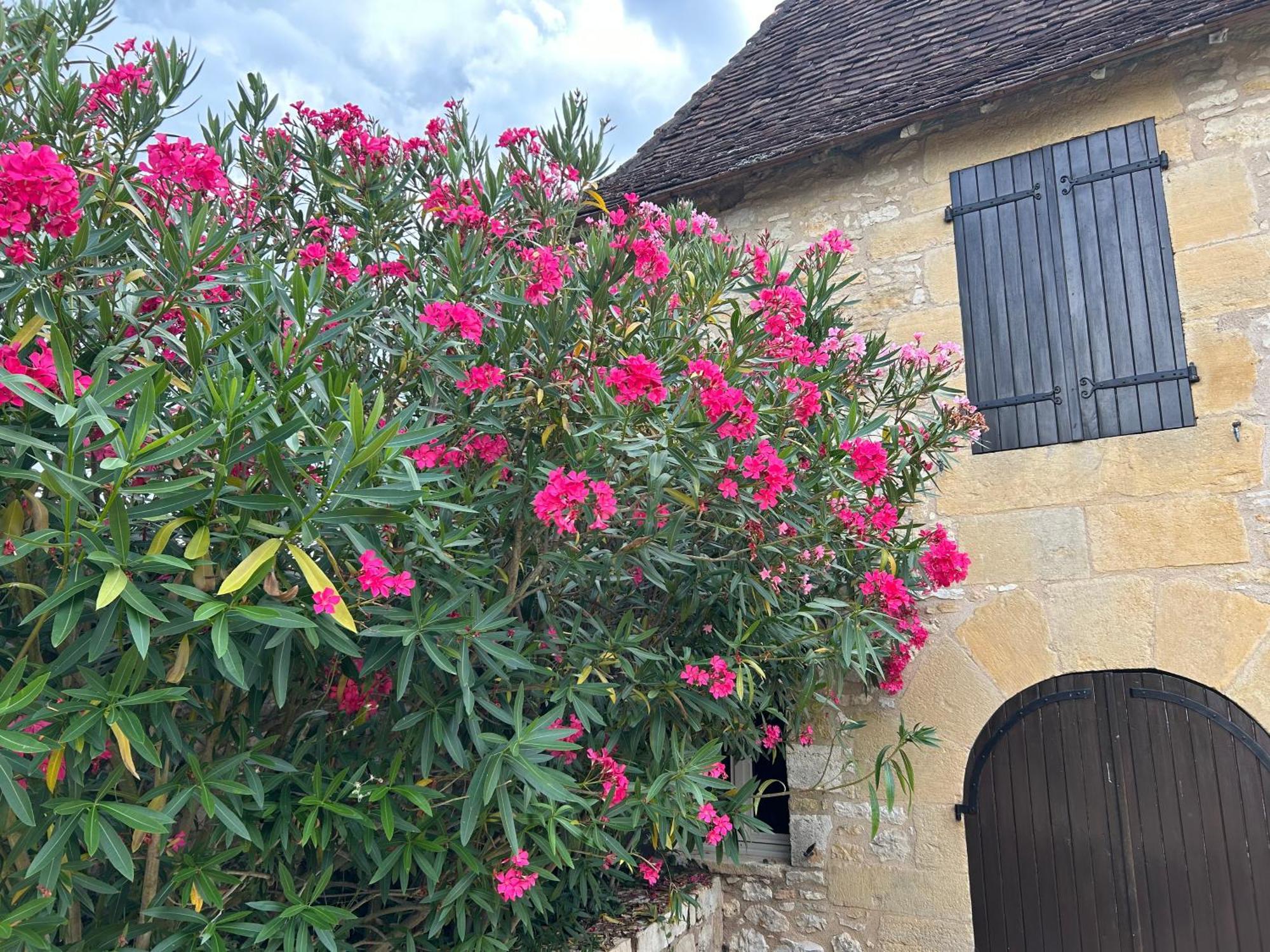 Demeure Du Vallon - Chambres D'Hotes De Charme Azerat Exterior foto